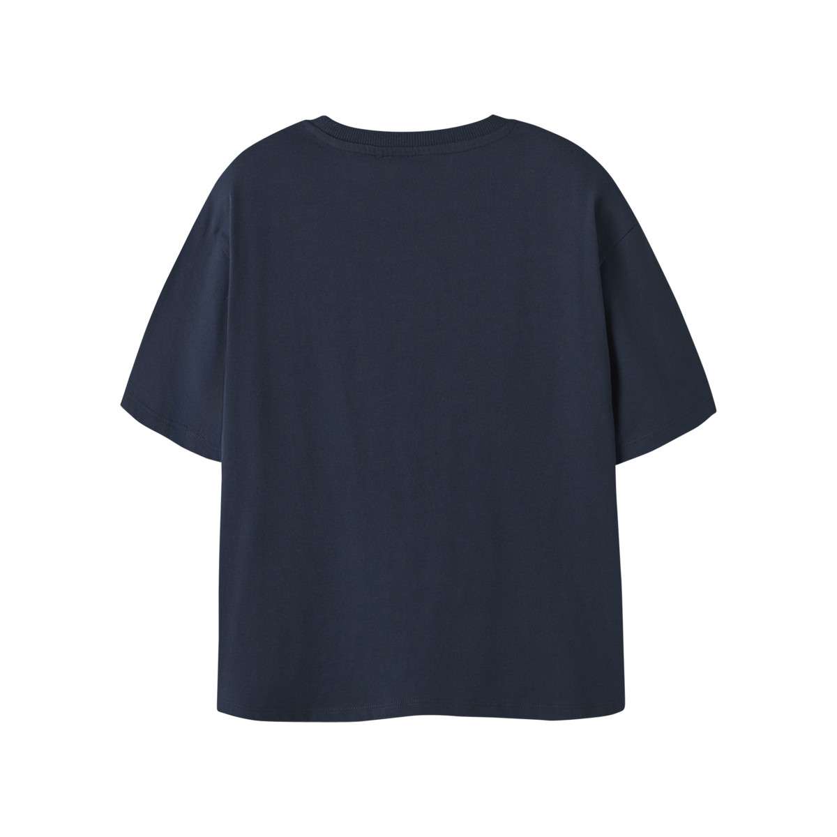 Tee-shirts T-shirt coton biologique col rond droit - 13253425 garçon bleu Name it Tee-shirts T-shirt coton biologique col rond droit - 13253425 garçon bleu Bleu