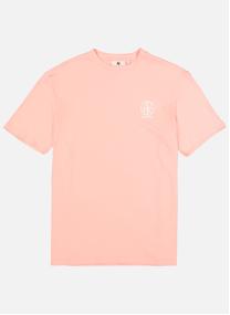 Tee-shirts T-shirt coton col rond droit - P261203 homme rose Garcia Tee-shirts T-shirt coton col rond droit - P261203 homme rose Rose