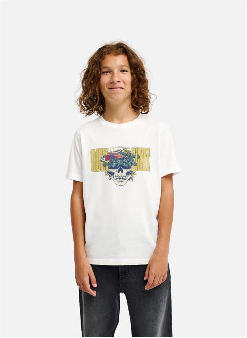 Quiksilver Tee-shirts Paradise Point Y garçon blanc