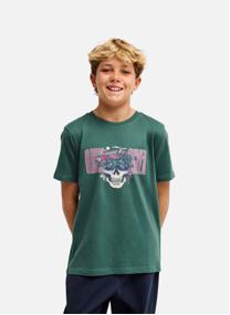 Tee-shirts Paradise Point Y garçon vert Quiksilver Tee-shirts Paradise Point Y garçon vert Vert