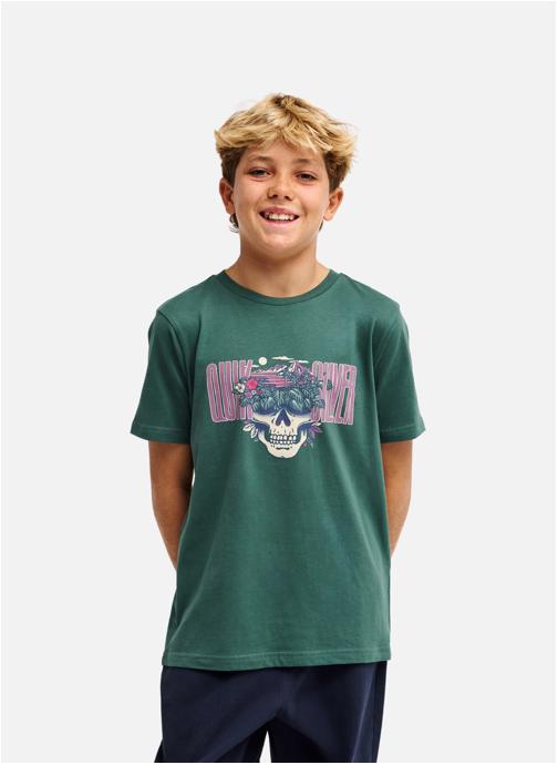 Quiksilver Tee-shirts Paradise Point Y garçon vert
