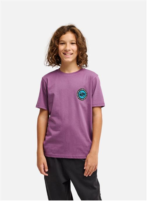 Quiksilver Tee-shirts Ev Duality garçon violet