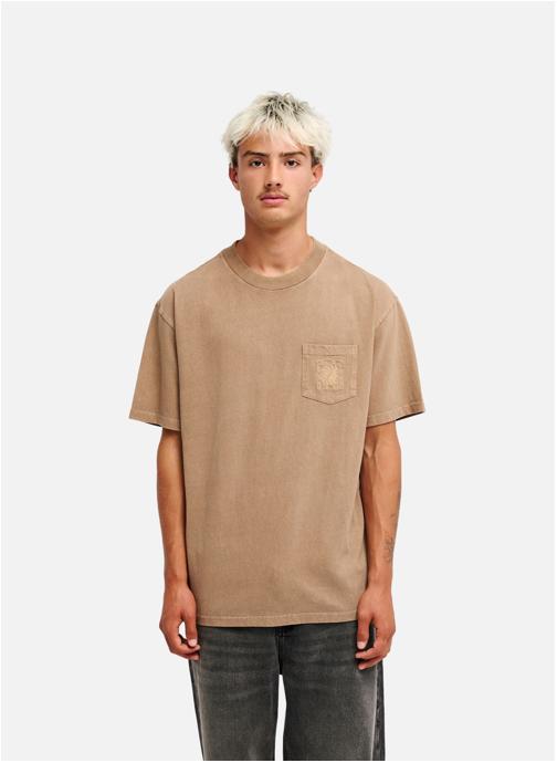 Quiksilver Tee-shirts Guana Washed homme marron