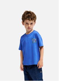 Tee-shirts Trucks garçon bleu Quiksilver Tee-shirts Trucks garçon bleu Bleu