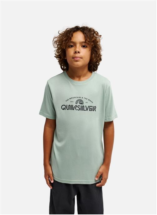 Quiksilver Tee-shirts Ev Vista Logo garçon vert