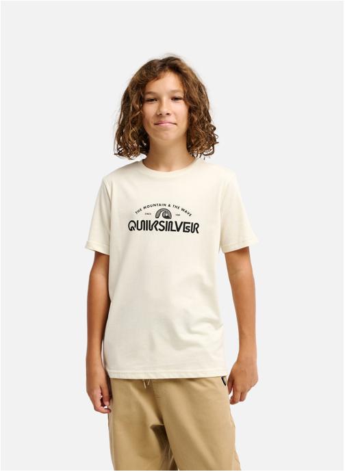 Quiksilver Tee-shirts Ev Vista Logo garçon beige
