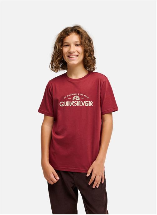 Quiksilver Tee-shirts Ev Vista Logo garçon rouge