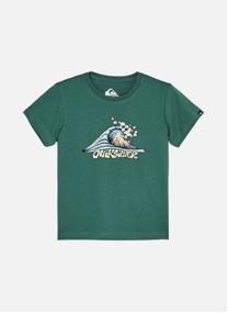 Tee-shirts Mtb&Wave garçon vert Quiksilver Tee-shirts Mtb&Wave garçon vert Vert