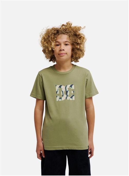 DC Shoes Tee-shirts DC Star Filled garçon vert