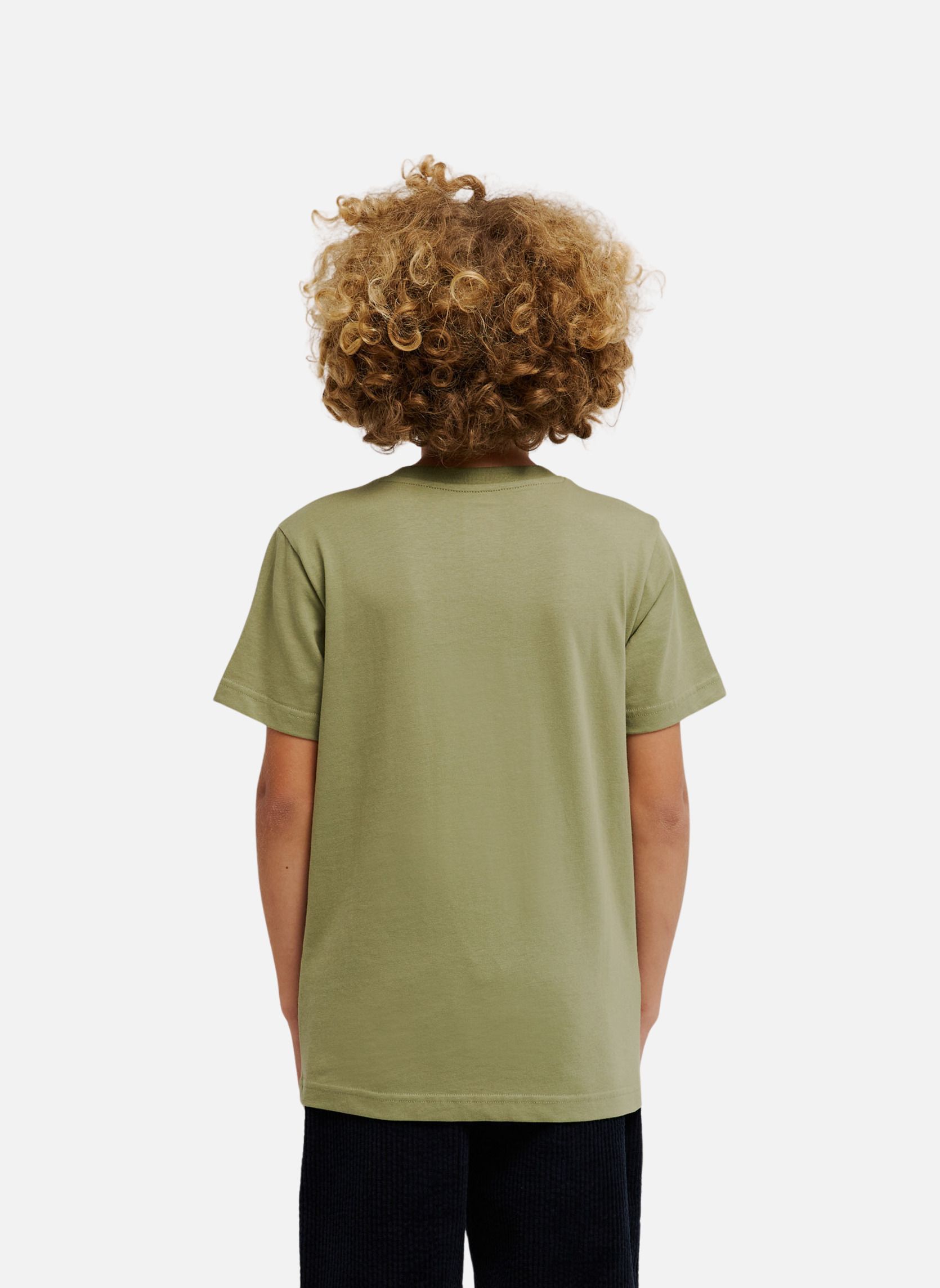 Tee-shirts DC Star Filled garçon vert DC Shoes Tee-shirts DC Star Filled garçon vert Vert