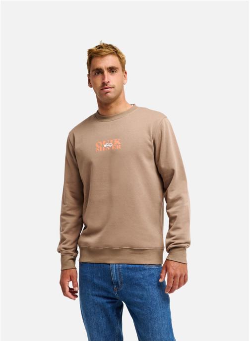 Quiksilver Sweats à capuche TRUE homme marron
