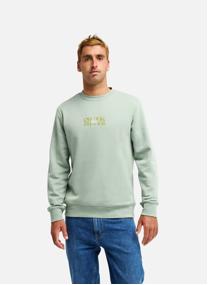 Sweats à capuche TRUE homme vert Quiksilver Sweats à capuche TRUE homme vert Vert