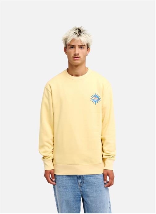 Quiksilver Sweats à capuche Salt Water Flow homme jaune