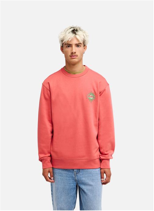 Quiksilver Sweats à capuche Salt Water Flow homme rouge