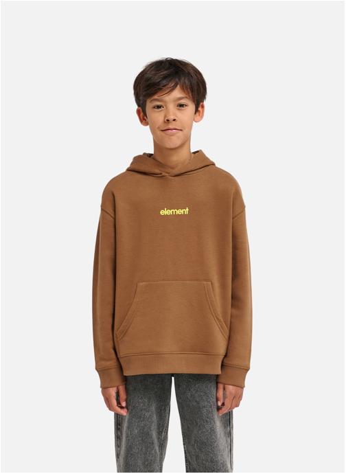 Element Sweats à capuche Lowcase Bp Po Y garçon marron