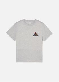 Tee-shirts Hands Full garçon gris Element Tee-shirts Hands Full garçon gris Gris