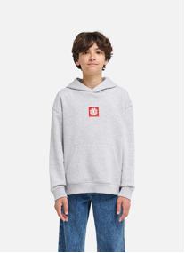 Sweats à capuche Square garçon bleu