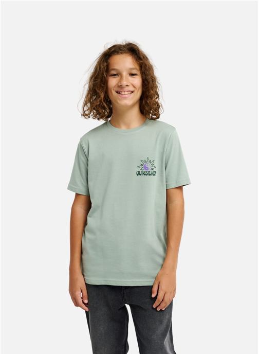 Quiksilver Tee-shirts Fusion garçon vert