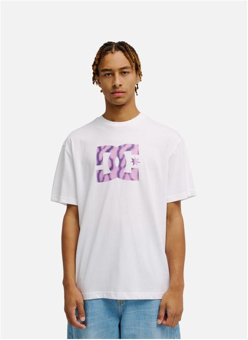 DC Shoes Tee-shirts DC Star Filled homme blanc