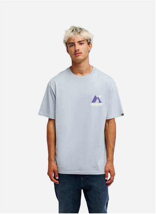 Quiksilver Tee-shirts Peak homme gris