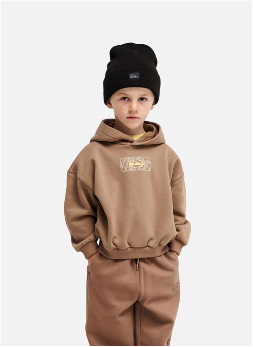 Quiksilver Sweats à capuche Tricks garçon marron