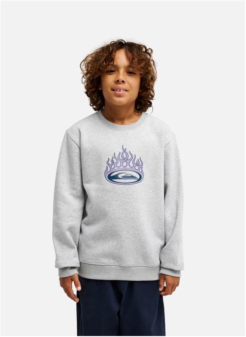 Quiksilver Sweats à capuche Graphic garçon gris
