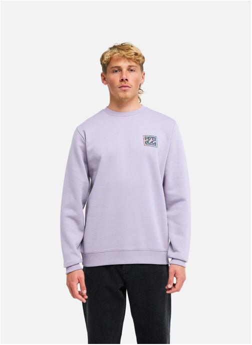 Billabong Sweats à capuche Foundation homme violet