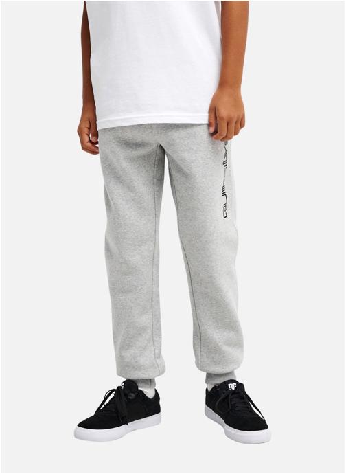 Quiksilver Joggings Slim garçon gris