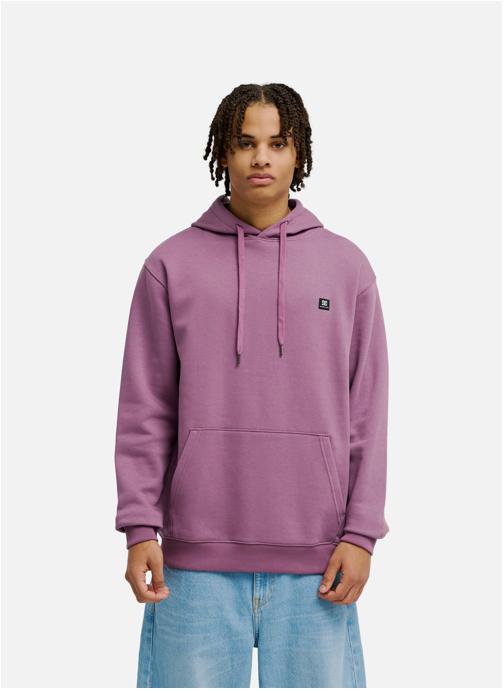 DC Shoes Sweats à capuche Lorion homme violet