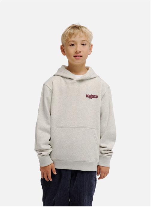 DC Shoes Sweats à capuche Eye Of The Storm garçon gris