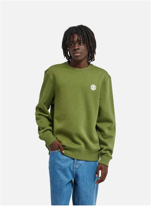 Element Sweats à capuche Explore homme vert
