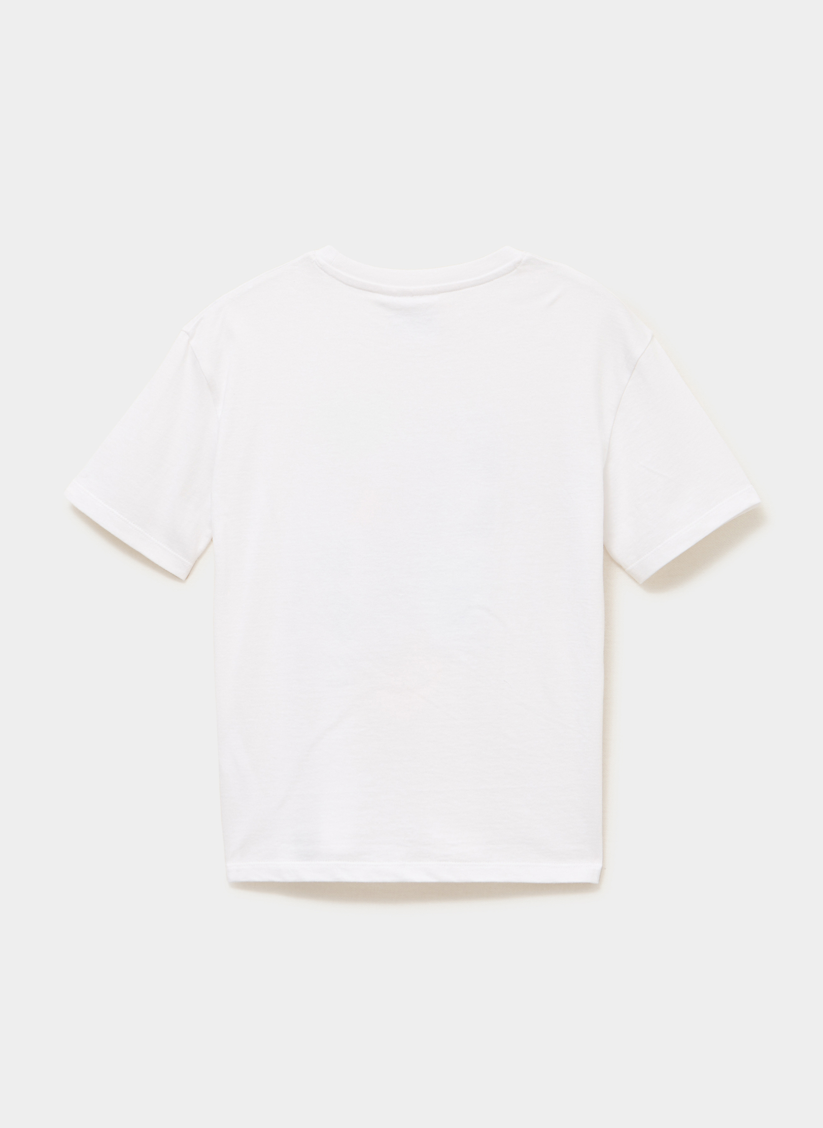 Tee-shirts SHL_VIZSLA_FALLGUYS garçon blanc FALL GUYS Tee-shirts SHL_VIZSLA_FALLGUYS garçon blanc Blanc