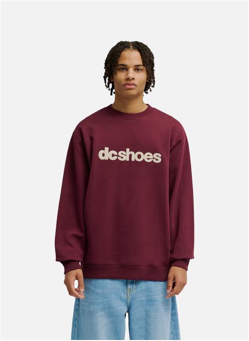 DC Shoes Sweats à capuche DC Spot homme rouge