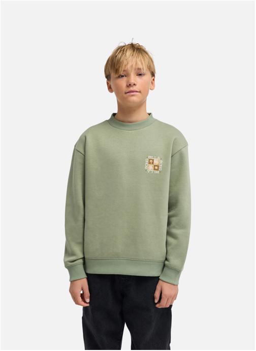 Billabong Sweats à capuche Foundation garçon vert