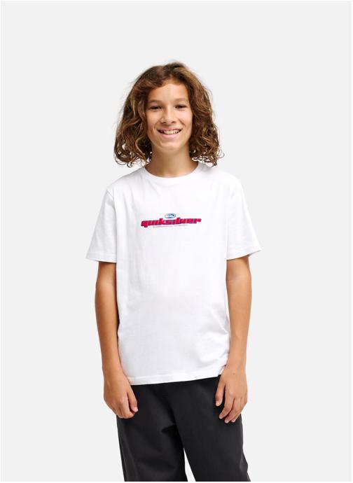 Quiksilver Tee-shirts Slacker garçon blanc