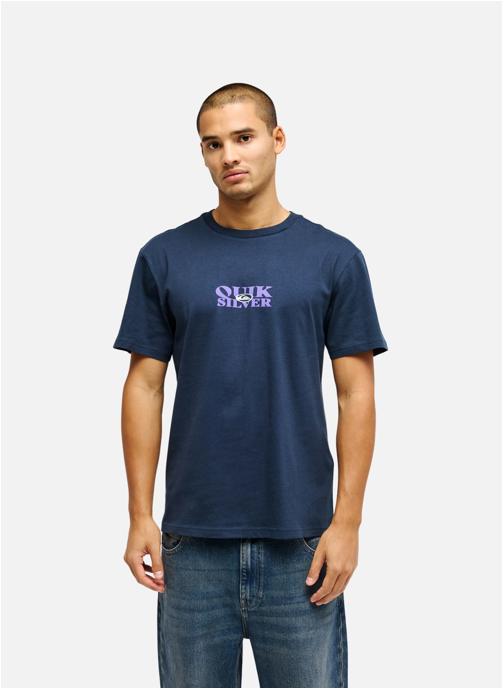Quiksilver Tee-shirts TRUE homme bleu