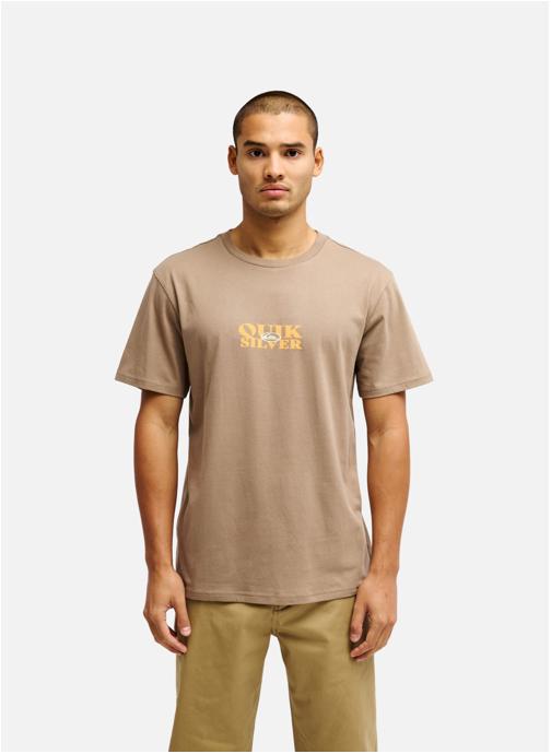 Quiksilver Tee-shirts TRUE homme marron