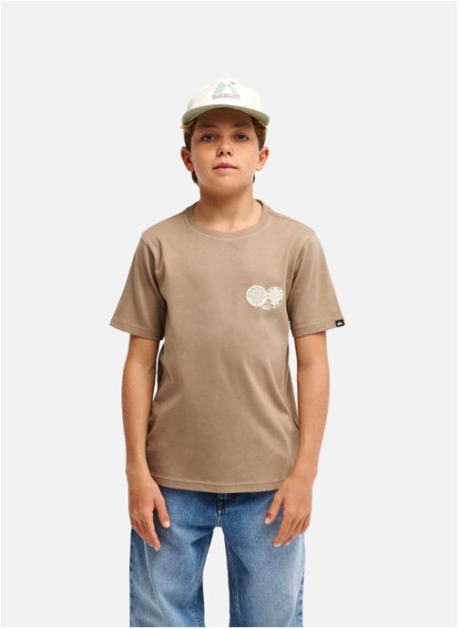 Quiksilver Tee-shirts Balance garçon marron