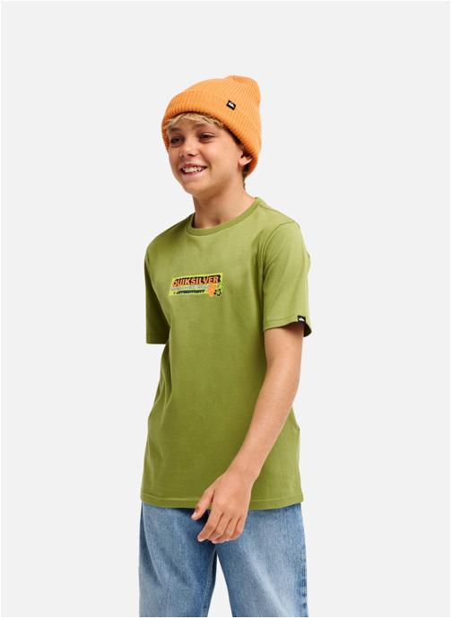 Quiksilver Tee-shirts Specialize Y garçon vert