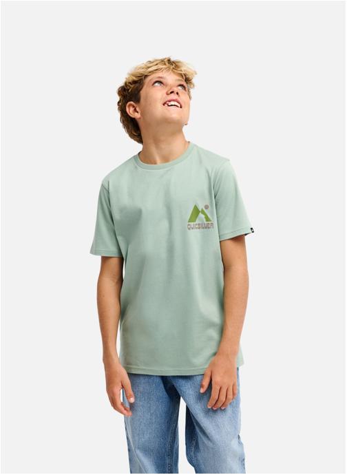 Quiksilver Tee-shirts Peak garçon vert