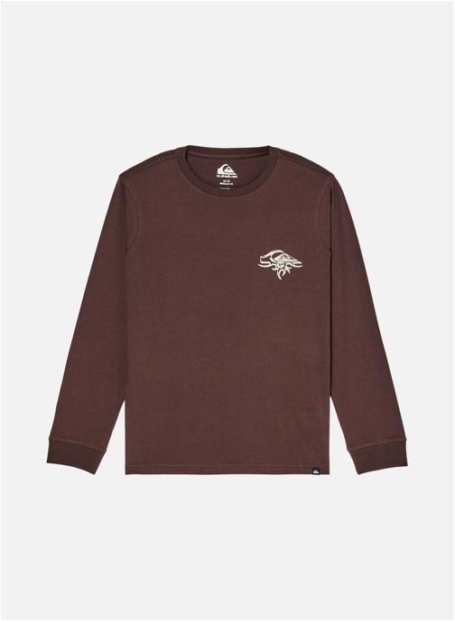 Quiksilver Tee-shirts QS Earth garçon marron