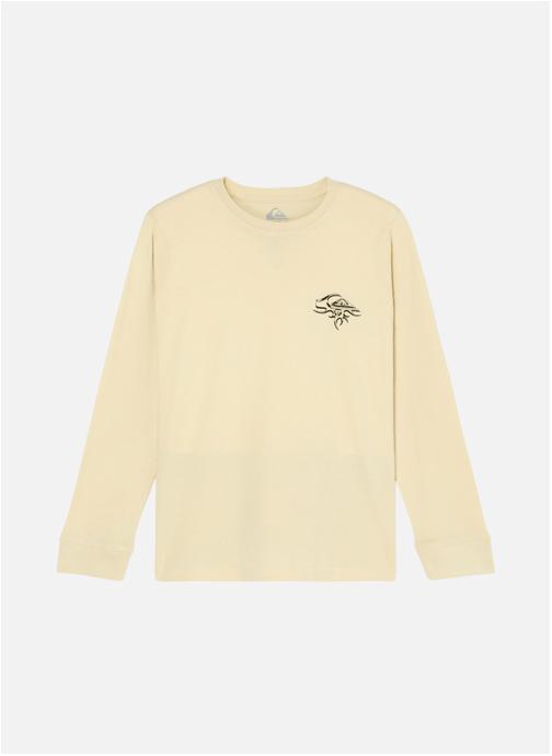 Quiksilver Tee-shirts QS Earth garçon beige