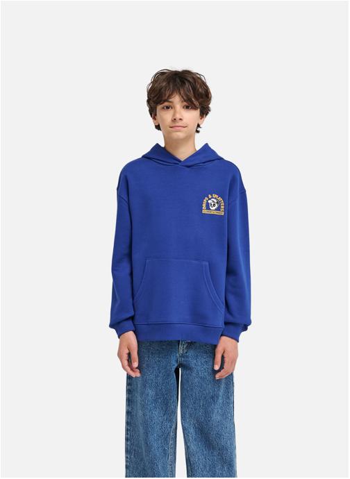 Element Sweats à capuche Timber Drips garçon bleu