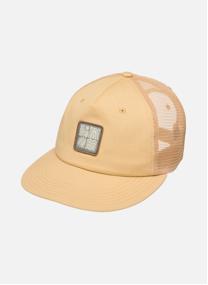 Casquettes Drifter homme marron
