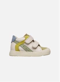 Baskets basses Sneakers AVENISS 2 VL Blanc-Gris- garçon gris Falcotto Baskets basses Sneakers AVENISS 2 VL Blanc-Gris- garçon gris Gris pailleté
