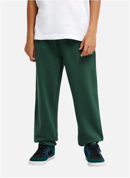 Quiksilver Joggings Regular garçon vert