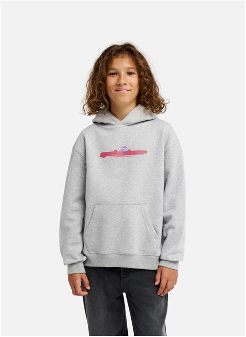 Quiksilver Vestes polaires Graphic garçon gris
