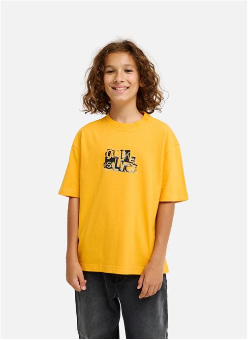 Quiksilver Tee-shirts Young Guns Rinse Y garçon jaune