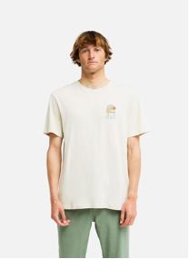 Tee-shirts Sundown homme vert