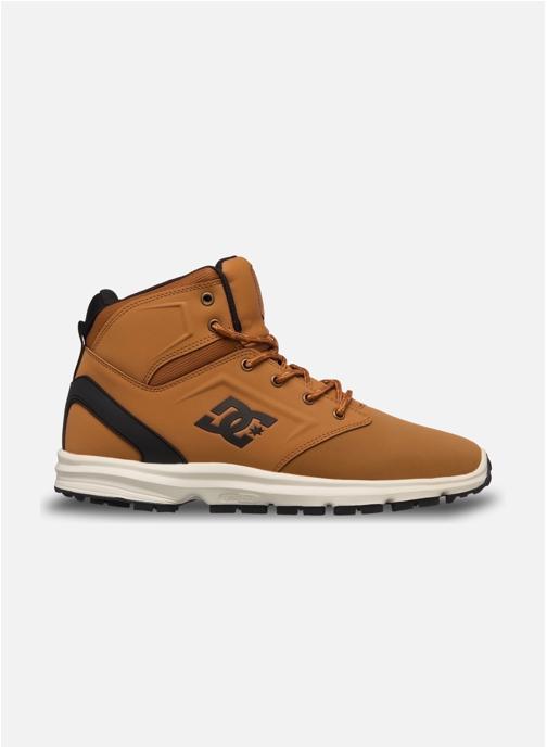 DC Shoes Bottines et bottes DC Rangex homme marron